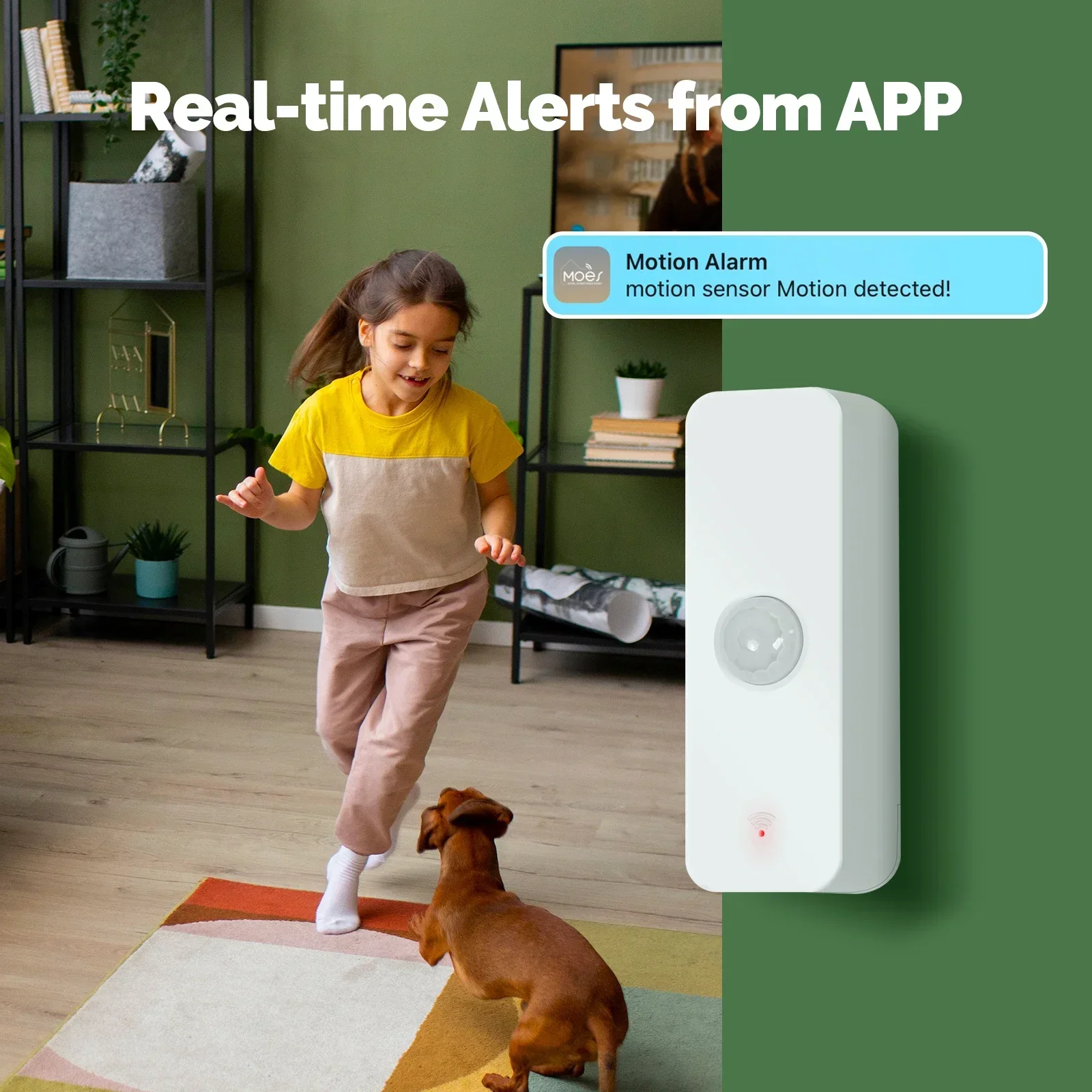 MOES Tuya Wi-Fi/ZigBee умный P – обзор и цена Smart Home Moes