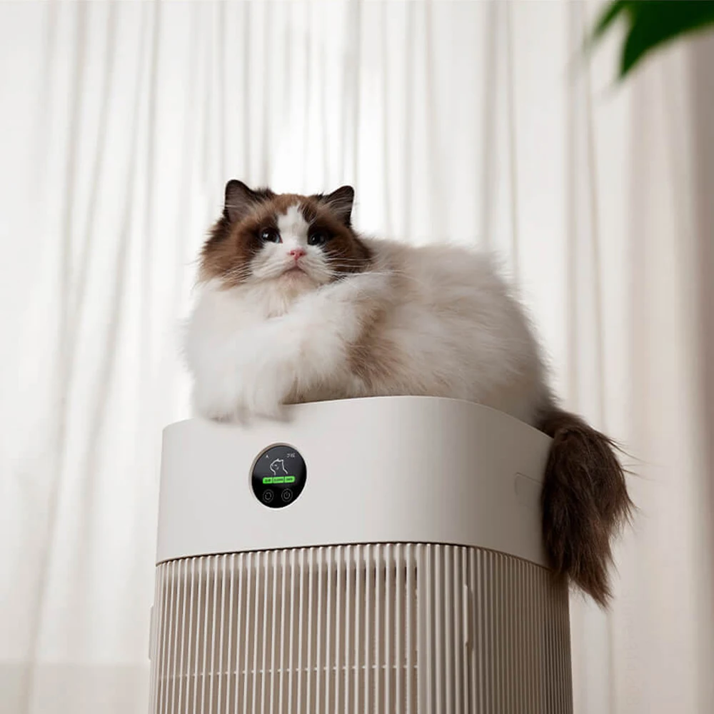 Кошачьи волосы, быстро впитыва – обзор и цена Smart Air Purifier